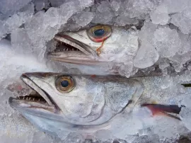Consejos para descongelar pescado y mantener su frescura