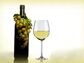 Encuentra el mejor precio en vinos blancos de Mercadona exquisitos y económicos