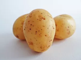 Encuentra las mejores patatas agrias en Mercadona  sabor y calidad garantizados