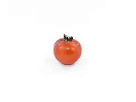 Comprar tomate en polvo en Mercadona variedad y calidad garantizada